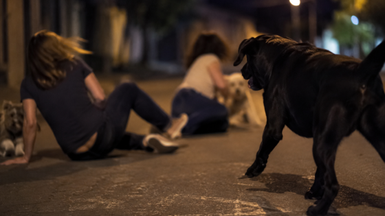 Cão solto derruba duas mulheres, deixa psicóloga ferida e caso vai à polícia