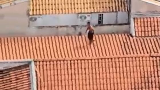 ASSISTA: Águia persegue suspeito de furtar residência em Araçatuba
