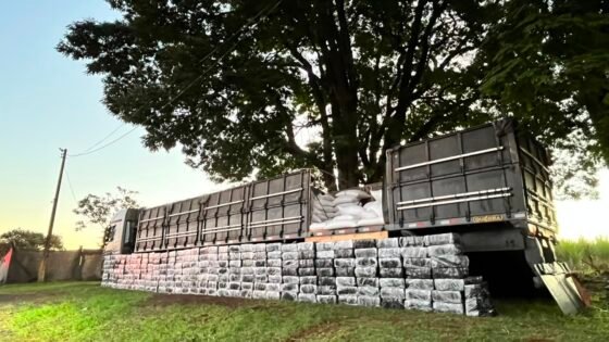 Caminhoneiro é preso com mais de 4 toneladas de maconha
