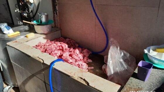 Operação apreende 2,7 toneladas de alimentos clandestinos em Araçatuba