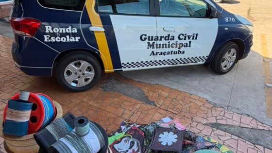 GCM apreende 146 pipas e 10 carretéis de linha chilena em Araçatuba