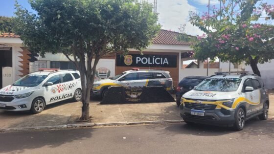 Polícia apreende quase 700 kg de maconha após perseguição em Clementina