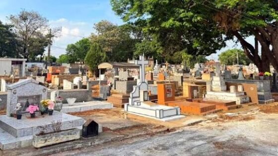 Confira o obituário deste domingo (23) na região