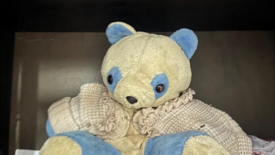 PF prende investigado com material de abuso sexual infantil