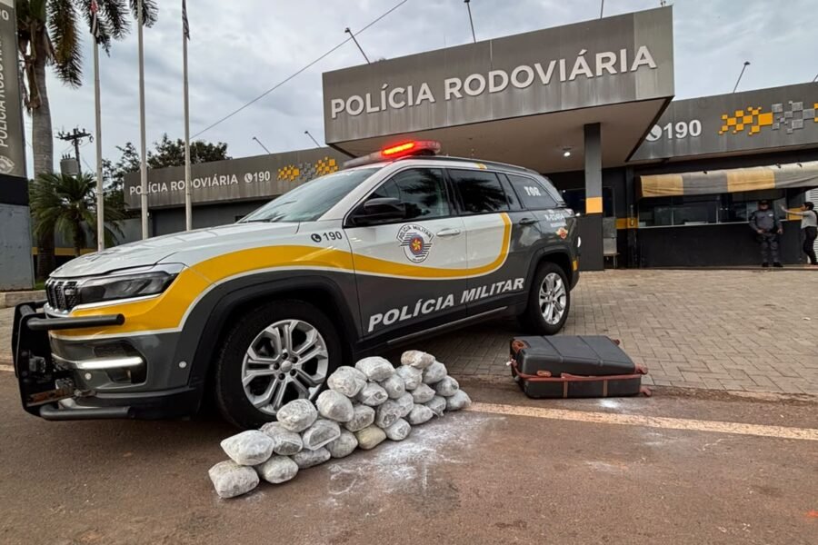 Polícia apreende skunk em ônibus e captura foragida em Araçatuba