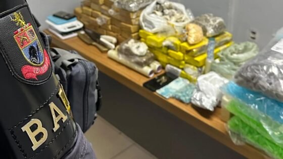 ‘Casa-bomba’ com 43 quilos de maconha é fechada pelo Baep