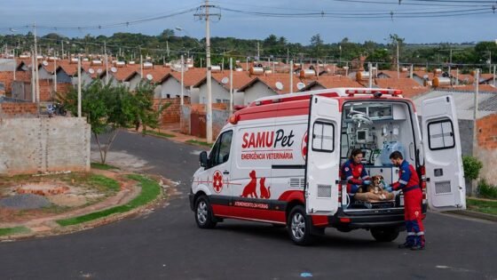 Câmara aprova projeto que prevê Samupet para socorrer animais