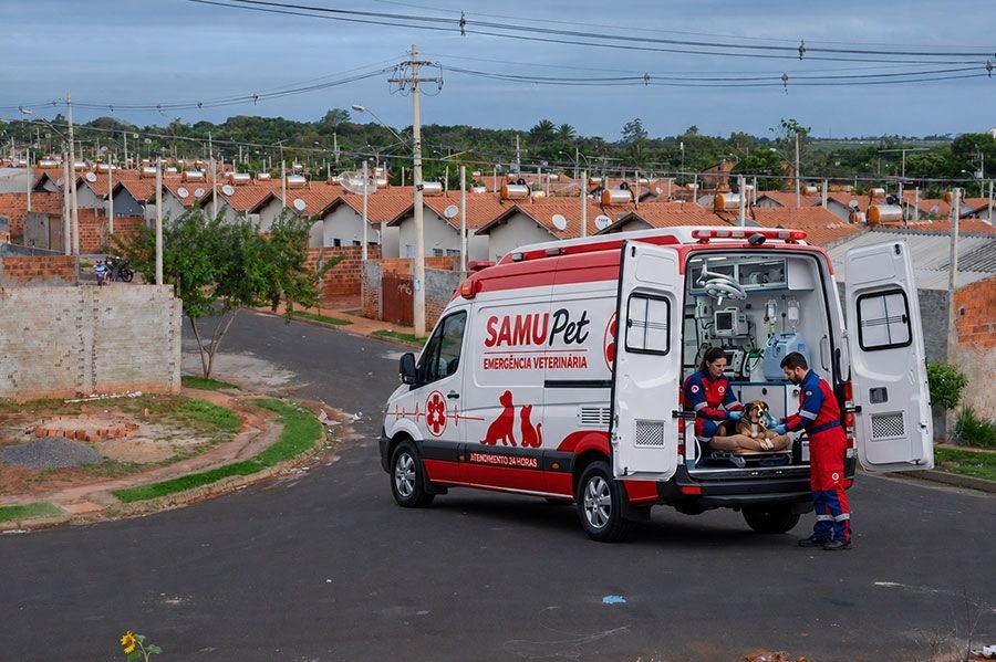 Câmara aprova projeto que prevê Samupet para socorrer animais