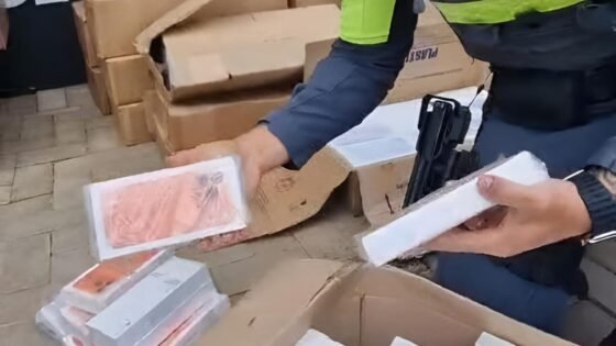 Polícia apreende droga e mais de 2,5 mil celulares na Rondon