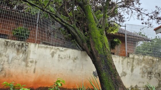 Mais de 30 horas após temporal, moradores seguem sem energia