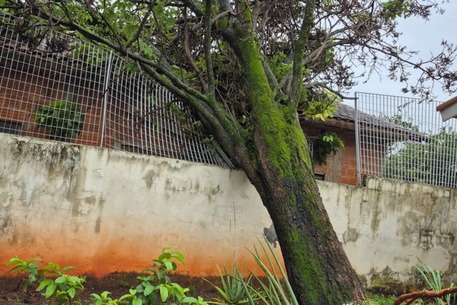 Mais de 30 horas após temporal, moradores seguem sem energia