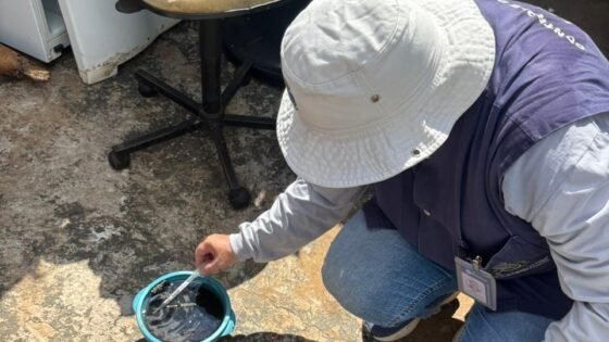 Araçatuba registra aumento na infestação do Aedes