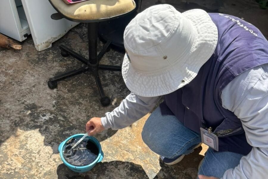Araçatuba registra aumento na infestação do Aedes